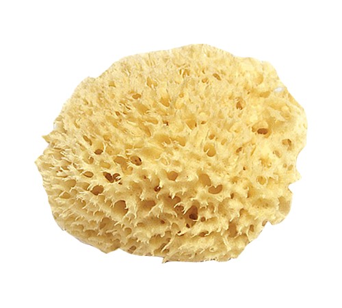VINCENT DECOR губка натуральная морская 16см VINCENT DECOR губка натуральная морская 16см