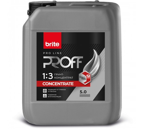BRITE PROFESSIONAL / БРАЙТ ПРОФЕССИОНАЛ грунт-концентрат влагозащитный 1:3 (5л) BRITE PROFESSIONAL / БРАЙТ ПРОФЕССИОНАЛ грунт-концентрат влагозащитный 1:3 (5л)
